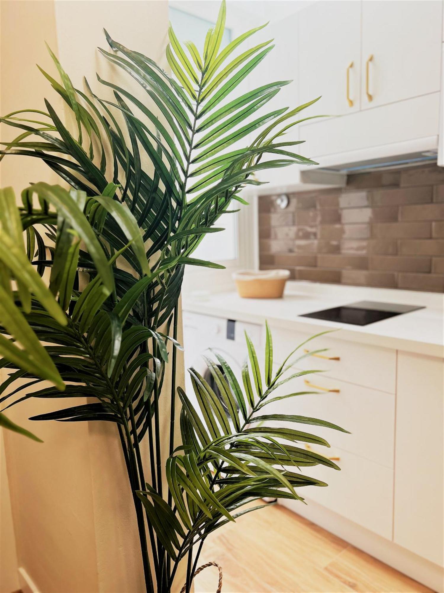 San Sebastián de la Gomera Apartamentos Pepita מראה חיצוני תמונה